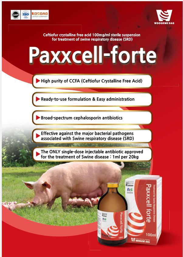 PAXXCEL FORTE
